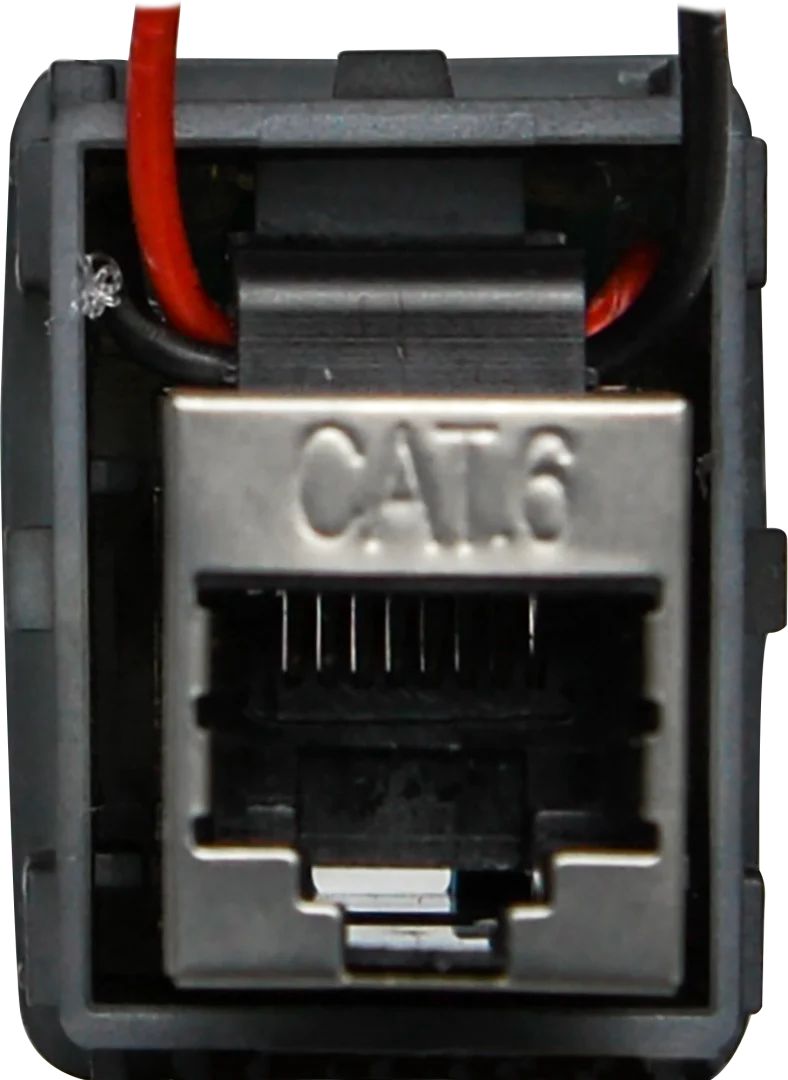 RJ45 Pass-Through Adaptor - Type 8 (White) - Image 4