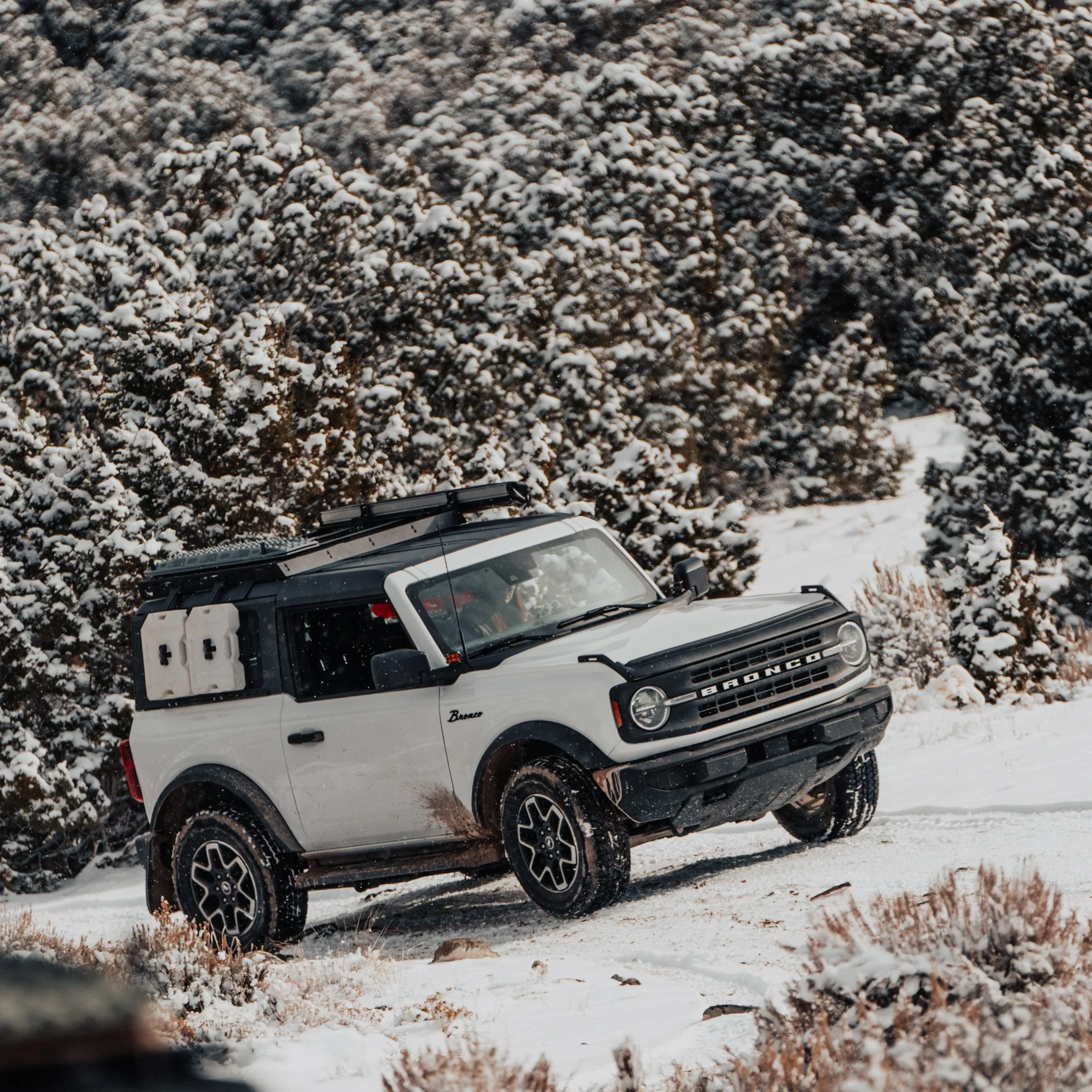 Modular Half Rack For The Ford Bronco (2021-Current) - Image 4
